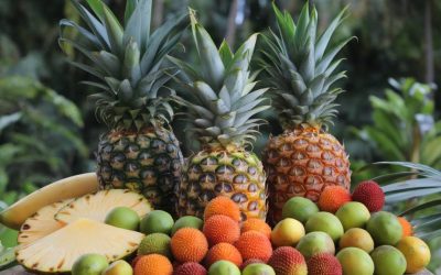 Les fruits tropicaux de la Réunion : ananas victoria, litchees et plus