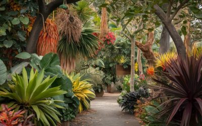 Balade dans le jardin des Parfums et des Épices : plantes et arbres endémiques