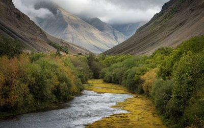 Cilaos : une zone thermale réunionnaise à explorer