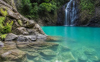 Bassin bleu Reunion : je vous guide vers l’un des plus beaux bassins naturels de l’île